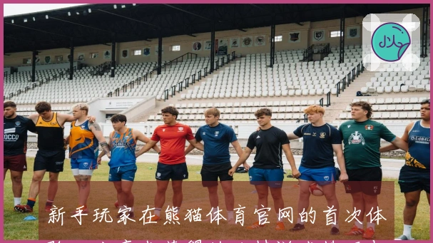 新手玩家在熊猫体育官网的首次体验：分享我获得的独特游戏技巧与心得