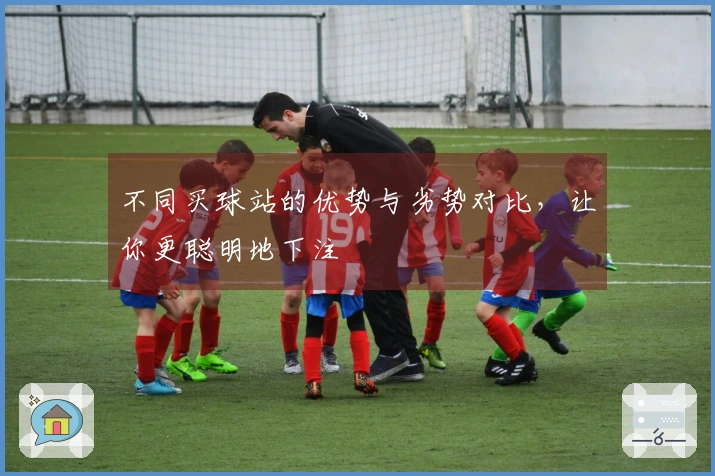 不同买球站的优势与劣势对比，让你更聪明地下注