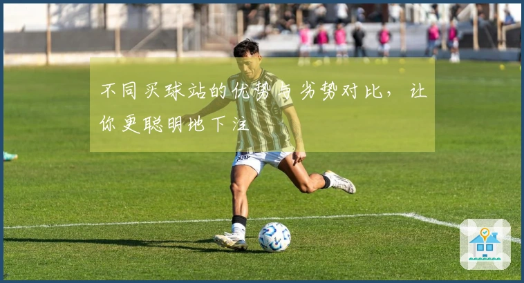 不同买球站的优势与劣势对比，让你更聪明地下注