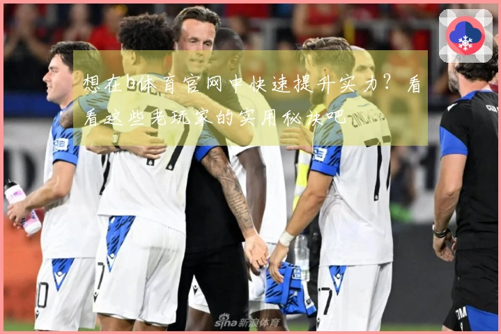 想在b体育官网中快速提升实力？看看这些老玩家的实用秘诀吧
